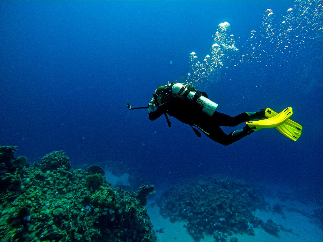 Grupe de studiu pentru scuba diving