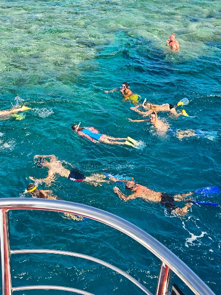 Grupe de studiu pentru snorkeling